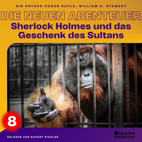 Arthur Conan Doyle William K. Stewart - Sherlock Holmes und das Geschenk des Sultans (Die neuen Abenteuer, Folge 8)