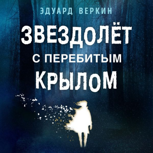 Eduard Verkin - Zvezdolyot s perebitym krylom