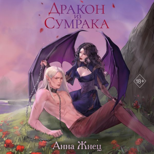 Anna Znets - Drakon iz sumraka