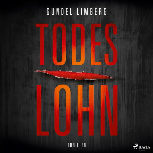 Gundel Limberg - Todeslohn: Thriller