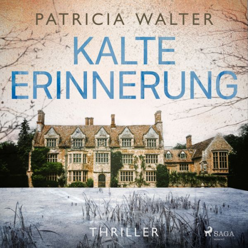 Patricia Walter - Kalte Erinnerung