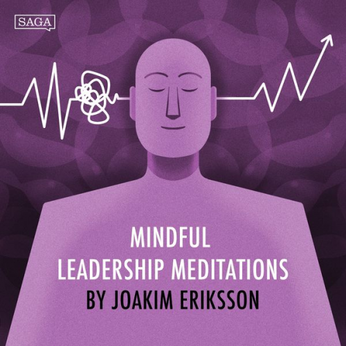 Joakim Eriksson - Open Awareness Meditation