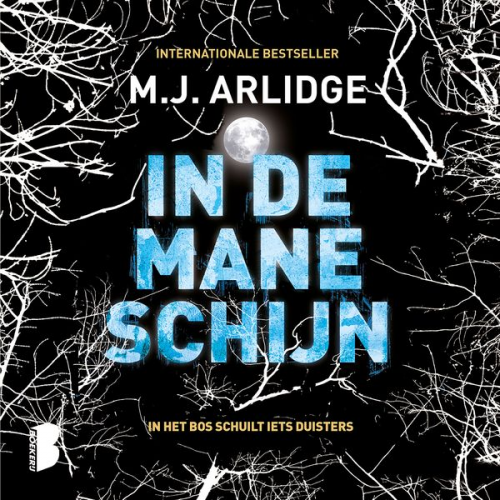 M.J. Arlidge - In de maneschijn