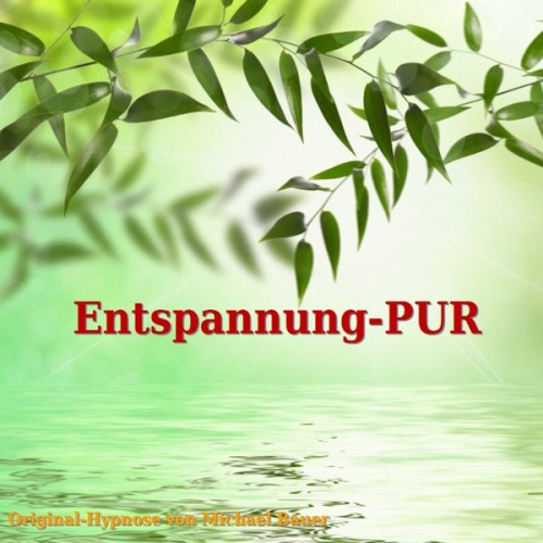 Michael Bauer - Entspannung-PUR