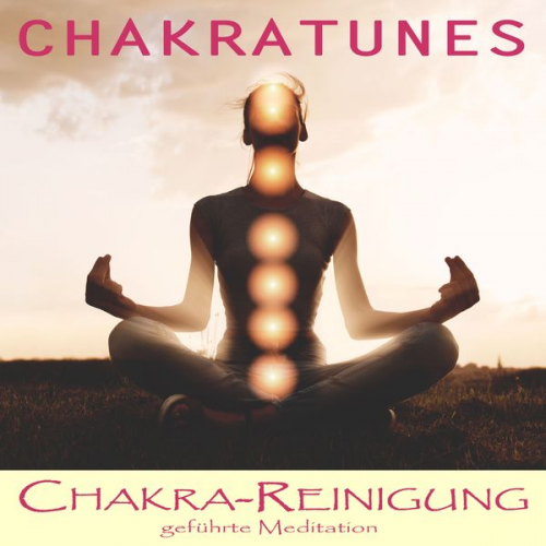 Raphael Kempermann - Chakra Reinigung