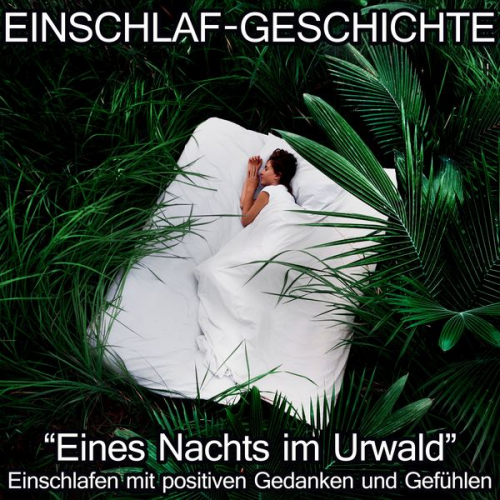 Raphael Kempermann - Einschlaf-Geschichte - Eines Nachts im Urwald