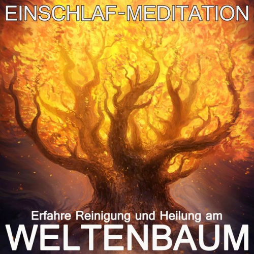 Raphael Kempermann - Erfahre Reinigung und Heilung am Weltenbaum