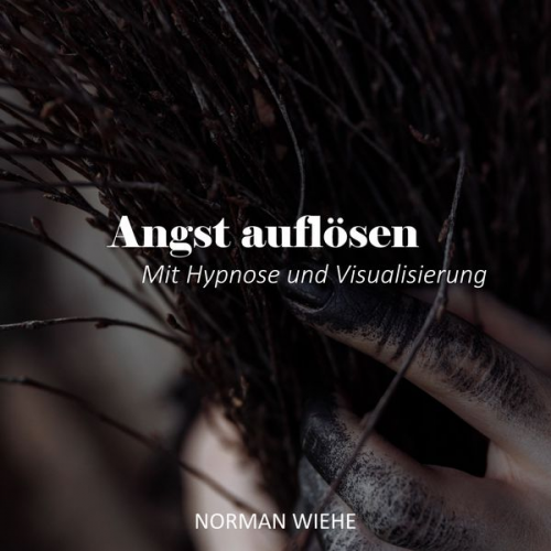 Norman Wiehe - Angst auflösen