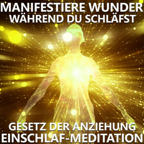 Raphael Kempermann - Manifestiere Wunder, während du schläfst