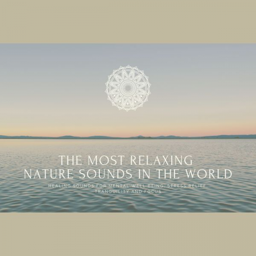 Joshua Armentrout - The Most Relaxing Nature Sounds In The World