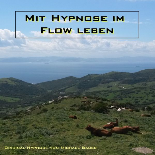 Michael Bauer - Mit Hypnose im Flow leben