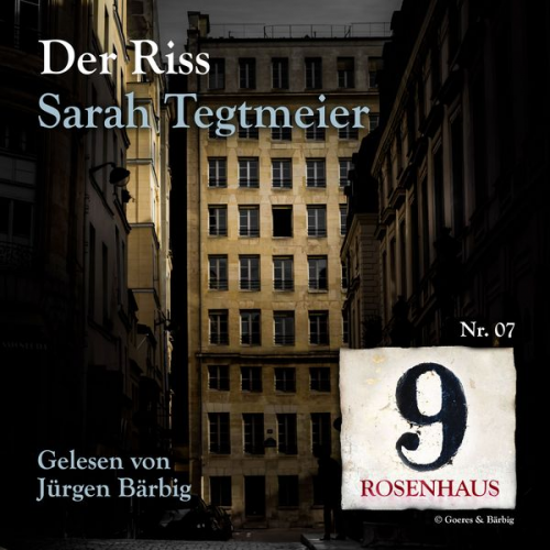 Sarah Tegtmeier - Der Riss - Rosenhaus 9 - Nr.7