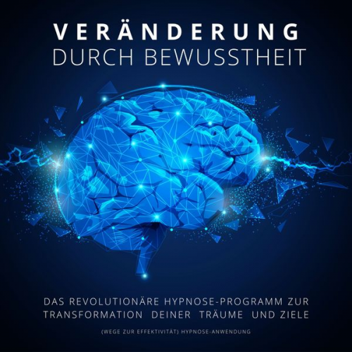 Patrick Lynen - Hypnose-Anwendung: Veränderung durch Bewusstheit (Wege zur Effektivität)