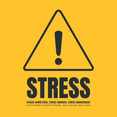 Patrick Lynen - Stress! Stress bewältigen, Stress abbauen, Stress Management
