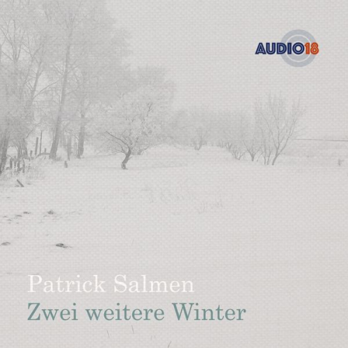 Patrick Salmen - Zwei weitere Winter