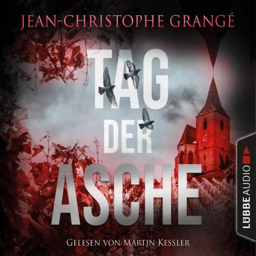 Jean-Christophe Grangé - Tag der Asche