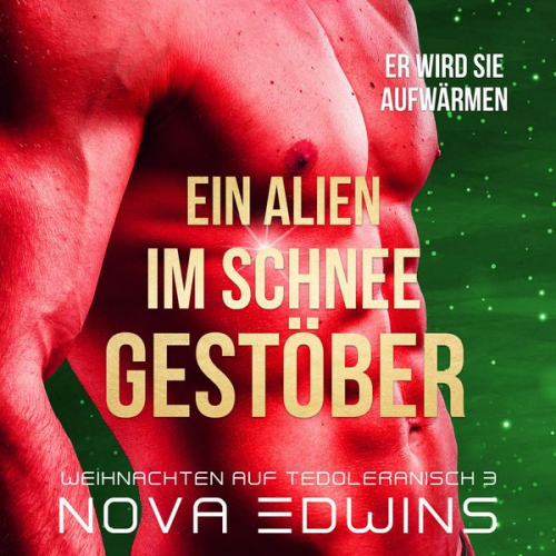 Nova Edwins - Ein Alien im Schneegestöber