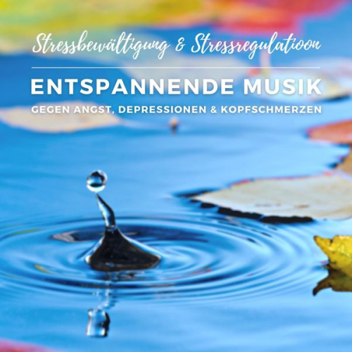 Stressmanagement Coaching - Stressbewältigung & Stressregulation: Entspannende Musik gegen Angst, Depressionen und Kopfschmerzen