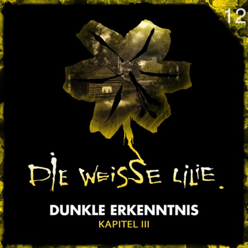 Benjamin Oechsle - 12: Dunkle Erkenntnis - Kapitel III