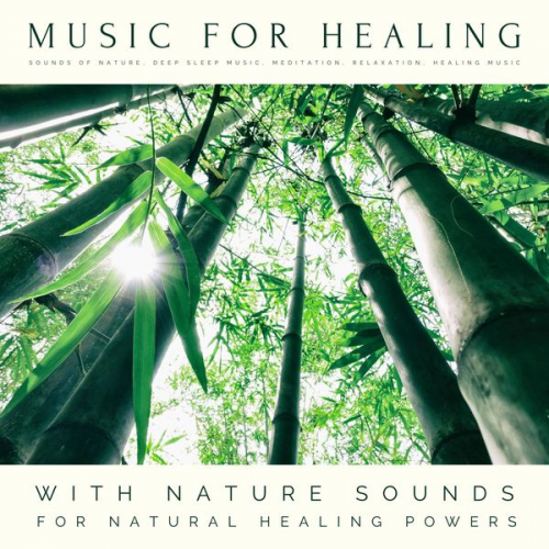 Music For Healing - Music For Healing: With Nature Sounds For Natural Healing Powers