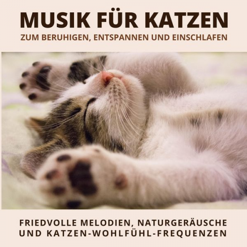 Verein der Katzenfreunde - Musik für Katzen zum Beruhigen, Entspannen und Einschlafen