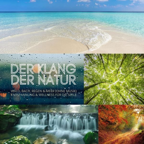 Digitales Archiv für Naturgeräusche - Der Klang der Natur - Wald, Bach, Regen & Meer (ohne Musik) - XXL-Bundle