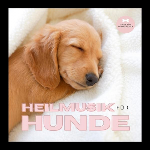 Heilmusik für Hunde - Heilmusik für Hunde