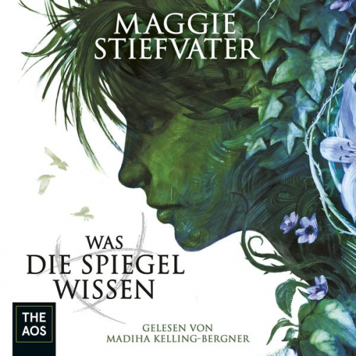 Maggie Stiefvater - Was die Spiegel wissen