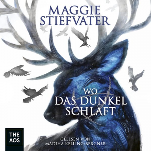 Maggie Stiefvater - Wo das Dunkel schläft