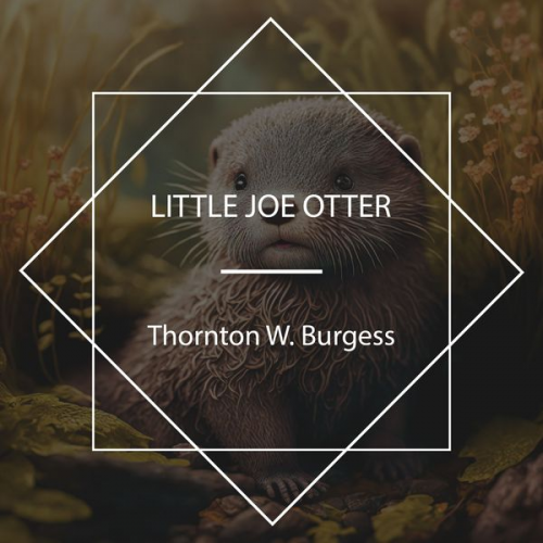 Thornton W. Burgess - Little Joe Otter