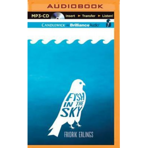 Fridrik Erlings - Fish in the Sky