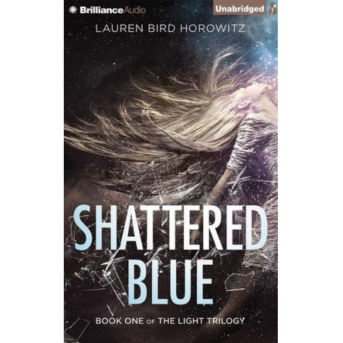 Lauren Bird Horowitz - Shattered Blue