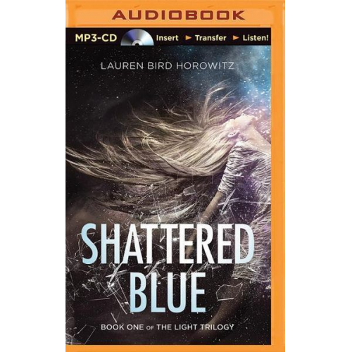 Lauren Bird Horowitz - Shattered Blue