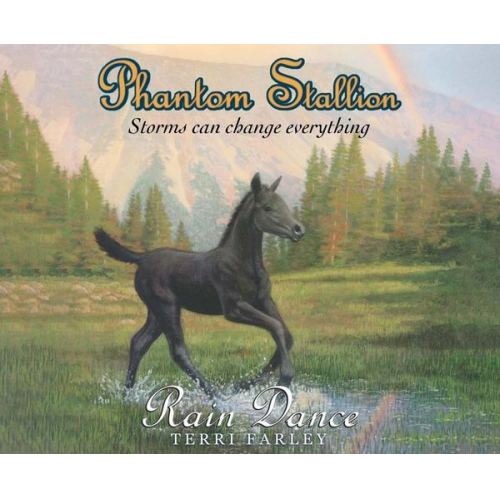 Terri Farley - Phantom Stallion, 12: Rain Dance