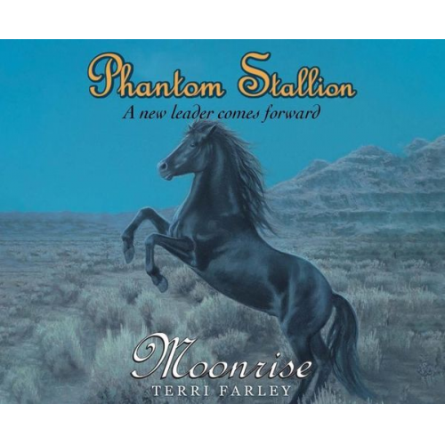 Terri Farley - Phantom Stallion, 14: Moonrise