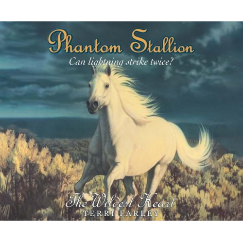 Terri Farley - Phantom Stallion, 16: The Wildest Heart