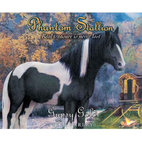 Terri Farley - Phantom Stallion, 23: Gypsy Gold