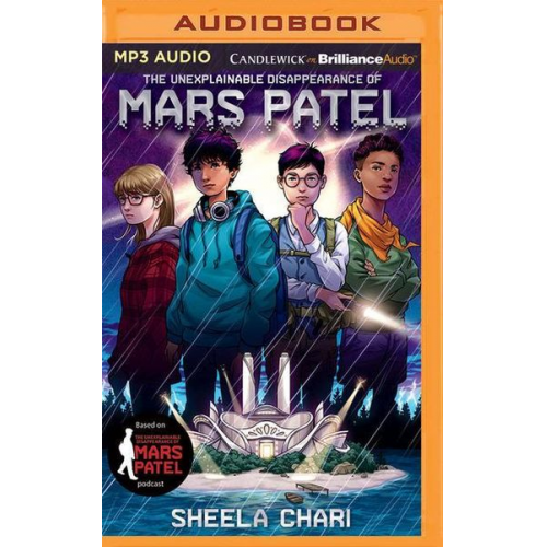 Sheela Chari - The Unexplainable Disappearance of Mars Patel