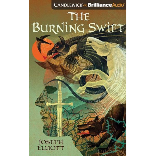 Joseph Elliott - The Burning Swift