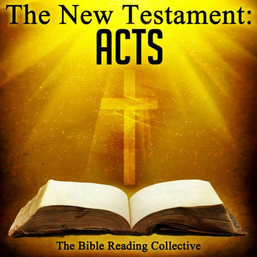 Traditional - The New Testament: Acts