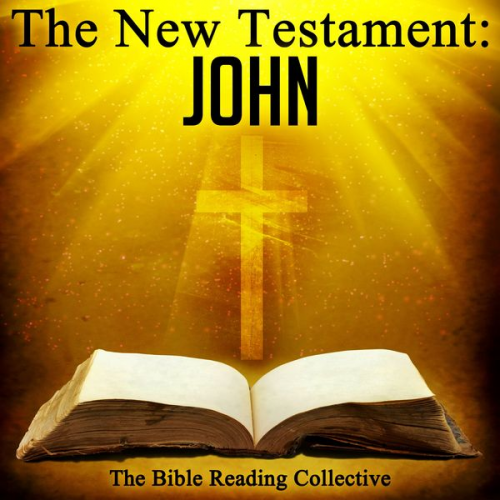 Traditional - The New Testament: John