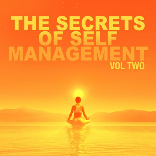 Brahma Khumaris - The Secrets of Self Management