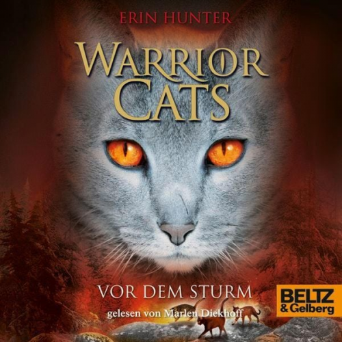 Erin Hunter Warrior Cats - Warrior Cats. Vor dem Sturm