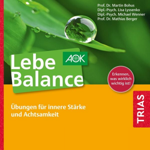 Martin Bohus Lisa Lyssenko Michael Wenner Mathias Berger - Lebe Balance Audio-CD
