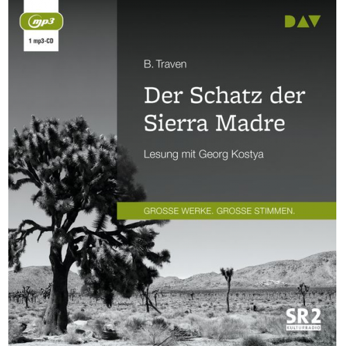 B. Traven - Der Schatz der Sierra Madre