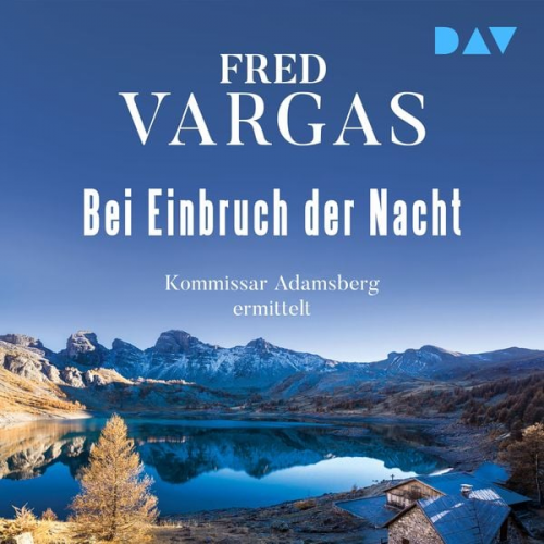 Fred Vargas - Bei Einbruch der Nacht – Adamsberg 2