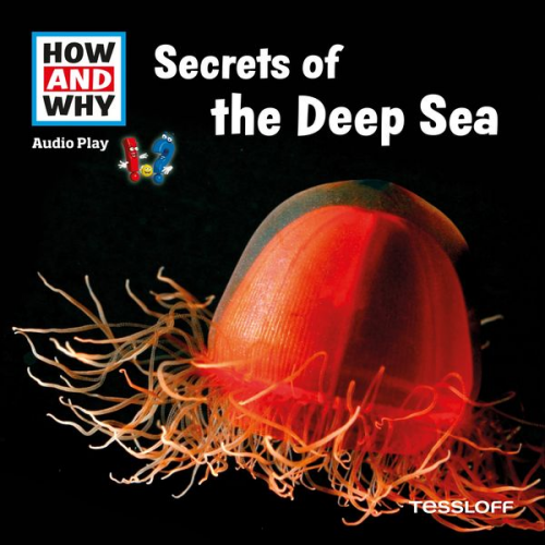 Manfred Baur - HOW AND WHY Audio Play Secrets Of The Deep Sea