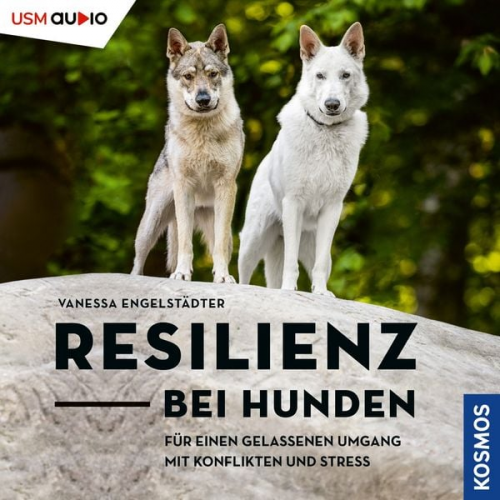 Vanessa Engelstädter - Resilienz bei Hunden