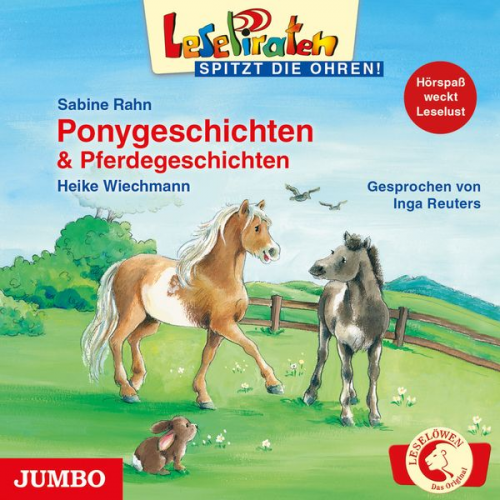 Sabine Rahn Heike Wiechmann - Ponygeschichten & Pferdegeschichten