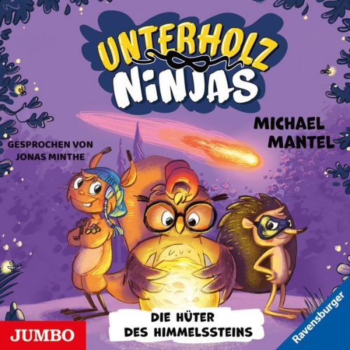 Michael Mantel - Die Unterholz-Ninjas. Die Hüter des Himmelssteins